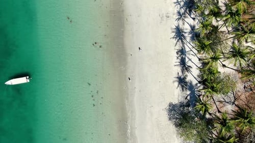 Virgin Unspoiled Caribbean Tropical White Sandy Beach