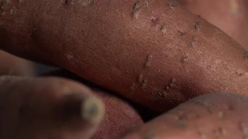 Close Up View of Orange Sweet Potatoes