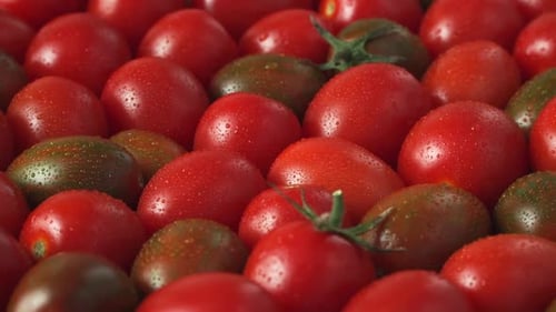 Side View of Fresh Red Tomato with Dewdrop Rotate on Board