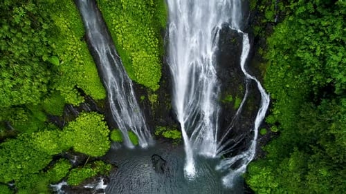 Incroyable cascade tropicale dans la forêt tropicale verte
