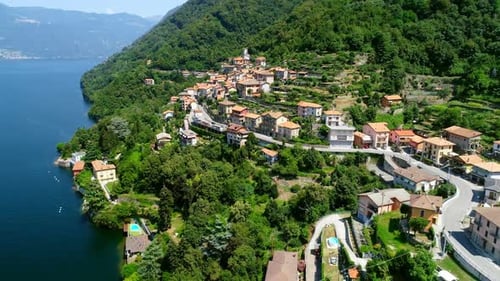 Beautiful town surrounded with lush green trees 4k
