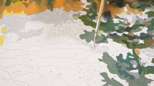 Painting Numbered Canvas with Paint Brush, Close Up
