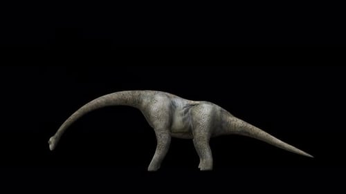 Realistic 3D Brachiosaurus Dinosaur Moving Head Animation