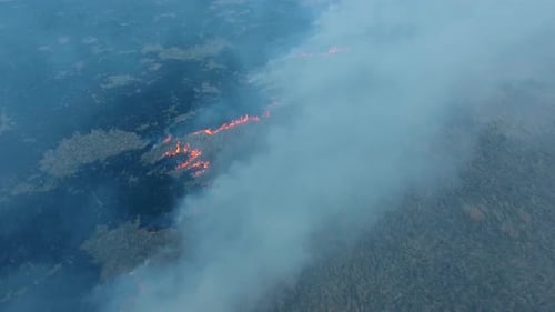 The burning field in spring, view from a drone