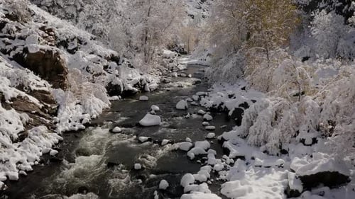 Snowy River Through Mountain Winter Landscape