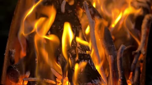Blazing Campfire Coals In The Evening