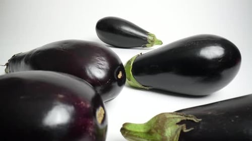 Eggplants 47