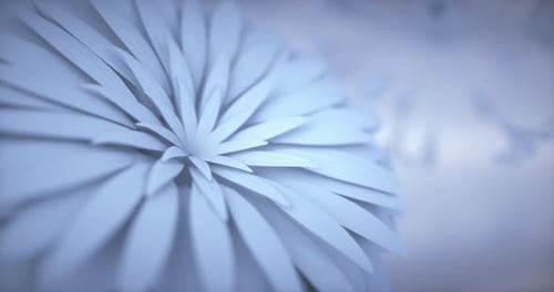 Blumen spinnen