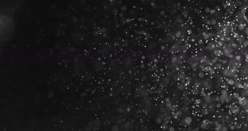 Floating White Particles on Black Background