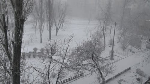 Winter Snow Blizzard Town Trees Fast Time Lapse. Cold Icy Weather and Season