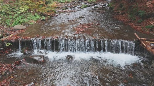 Mountain River with Autumn Leaves