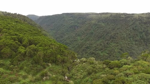 Aerial view of mountains with forest