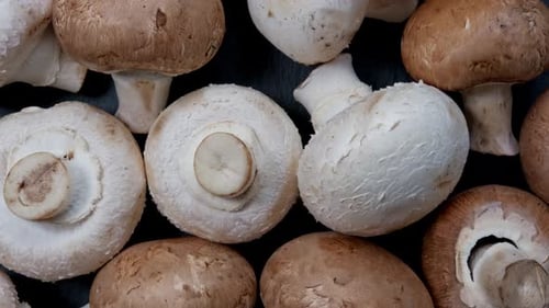 Close Up of Fresh Button Mushrooms