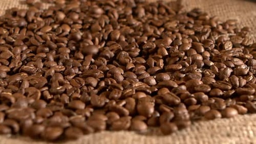 Close up of Pile of Roasted Coffee Beans