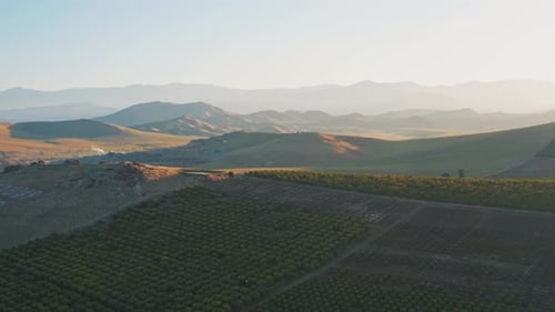 Aerial View of Green Agricultural Fields and Mountains