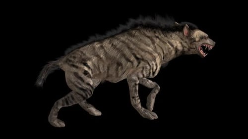 Hyena Walk 2