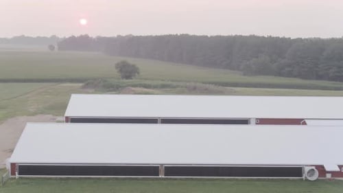Early morning sun newly risen over farm buildings