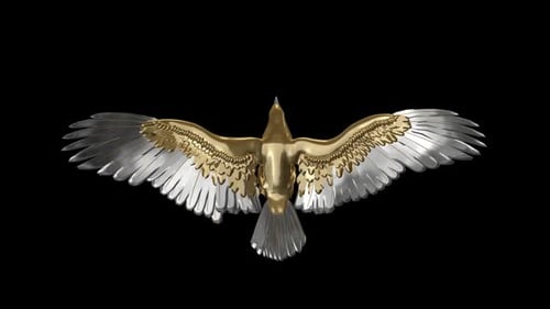 Gold Eagle - Flying Loop - Top View