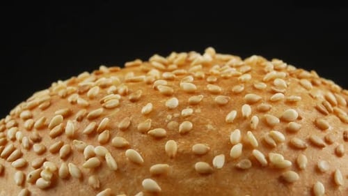 Golden Burger Bun with Sesame Seeds Close Up