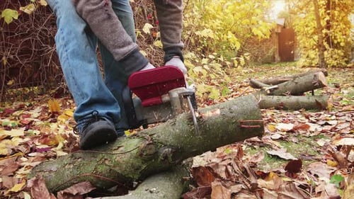 Electric chainsaw in hand cutting wood for winter