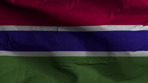 Waving Flag of The Gambia Realistic Texture