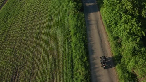 Motorbiker Rides on Pathway Past Green Trees at Sunset