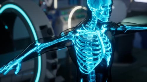 Futuristic X-Ray Scan of Human Anatomy Skeleton