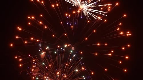 Bright and Colorful Fireworks Exploding in Night Sky
