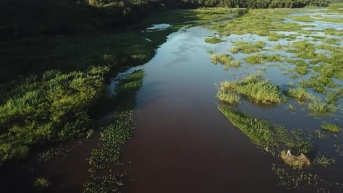Aerial drone shot flying backwards over a dark blue river in a marshland environment