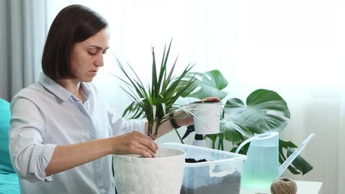 Woman Repotting Houseplant in Bright Home