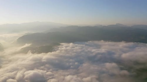 Aerial top view of forest trees and green mountain hills with sea fog, mist and clouds. Nature