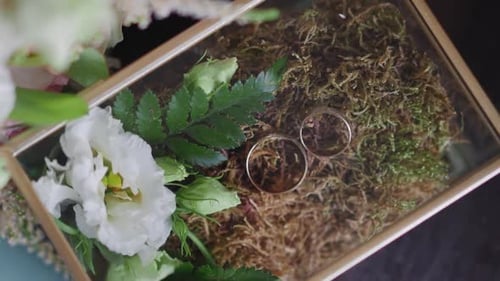 Wedding Rings Close Up in Elegant Box