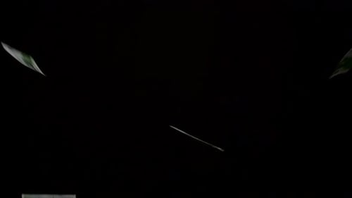 Euro Bills Falling on Black Background