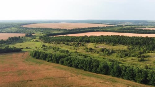 Wheat Fields Aerial View