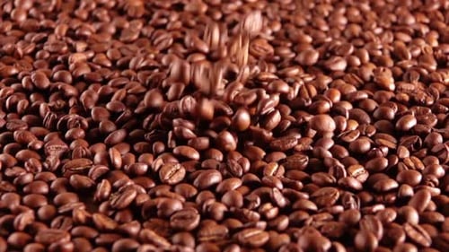 Beans of Coffee Fall on a Heap