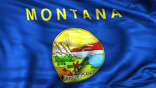 Montana State Flag
