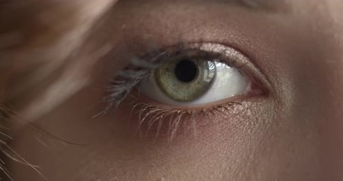 Schönes grünes Auge