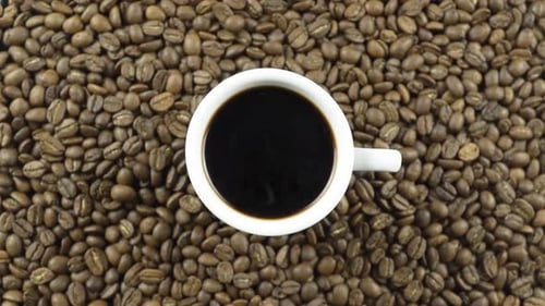 Coffee Cup Centered on a Bed of Roasted Beans