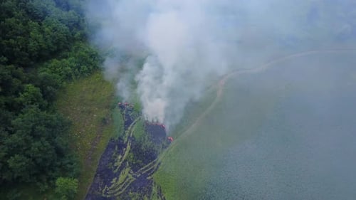 Aerial Shot From Above the Fire Near the Forest. Upper View of Grass Burning From the Fire, Growing