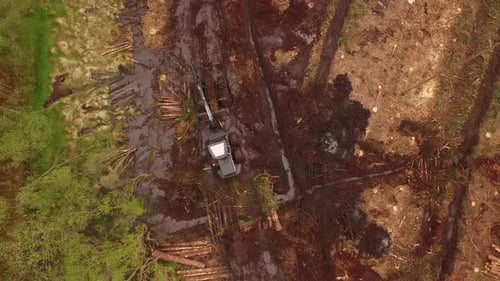 Forestry and logging operations taking place in the highlands of Scotland using large industrial mac