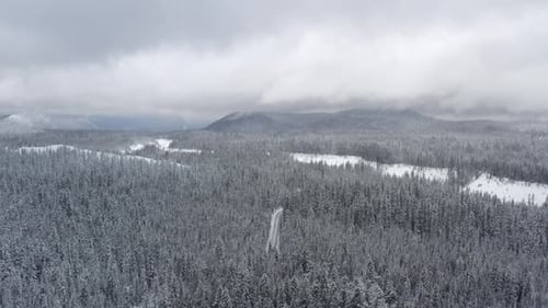 Aerial tracking across a snowy forest in the middle of winter