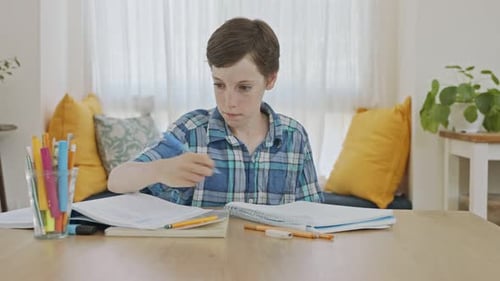 Young boy sitting at home preparing homework for school