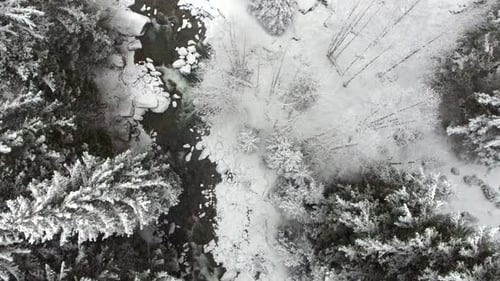 Stream Flowing Through Snow and Forest