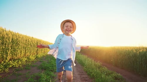 Little Happy Boy Running in Country Field Meadow Spreading His Arms Out Sides in Summer Sunlight