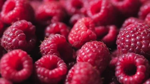 Close-Up of Pile of Shiny Raspberries