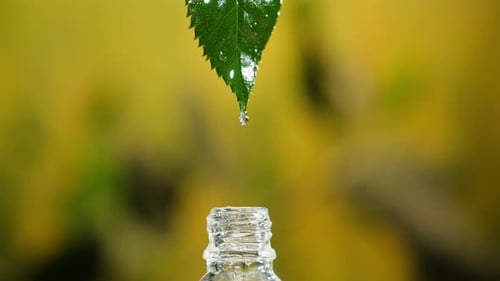 Perfumery