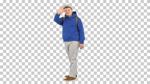Teenager school boy walking by and making, Alpha Channel
