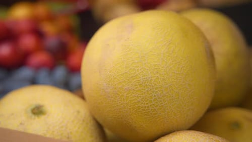 Frisch geerntete Bio-Melonen