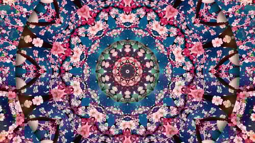 Abstract Floral Kaleidoscope Loop with Pink Cherry Blossoms