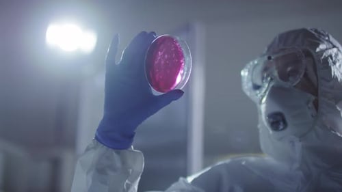 Medical Scientist Inspecting Petri Dish